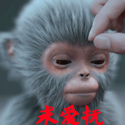 一只猴子表情包图片