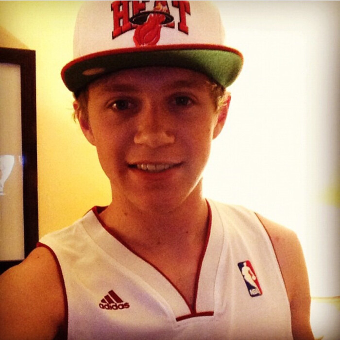 niall horan(one direction