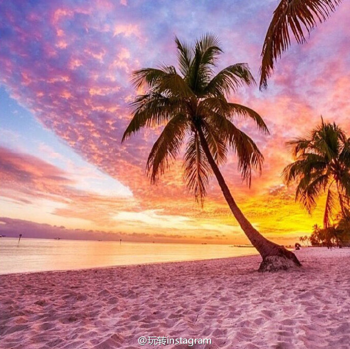 位于巴哈马哈勃岛的粉红色沙滩pink sands beach,真的美哭