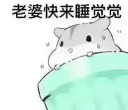 给未来对象准备的表情包(*/63*)