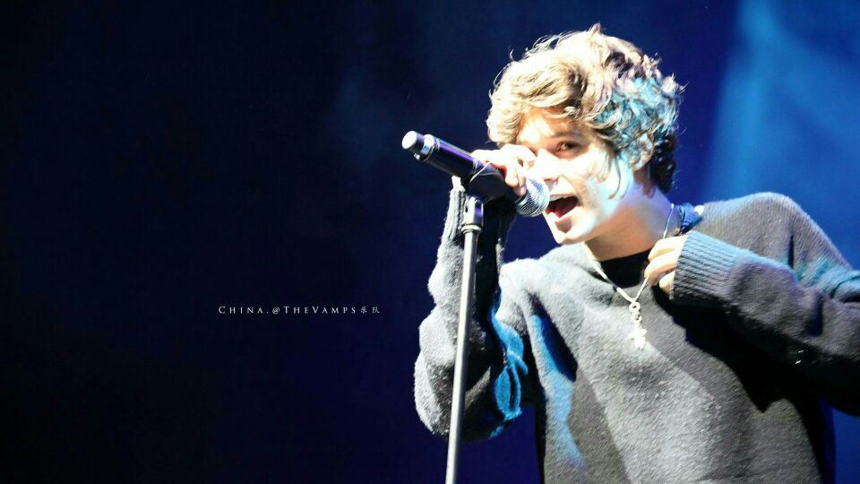 the vamps,骚布.