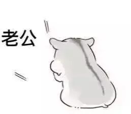 #可爱表情【卡通可爱萌仓鼠文字GIF纯表情乔高冷徐海包动漫图片