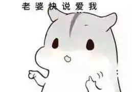 表情包可爱萌卡通动漫gif纯文字污金馆长熊猫头蘑菇头暴走漫画魔性qq