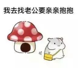 动漫gif纯文字污金馆长熊猫头蘑菇头暴走漫画魔性qq聊天】の表情包