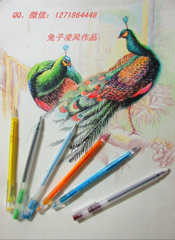 兔子凌风彩色中性笔画《孔雀》