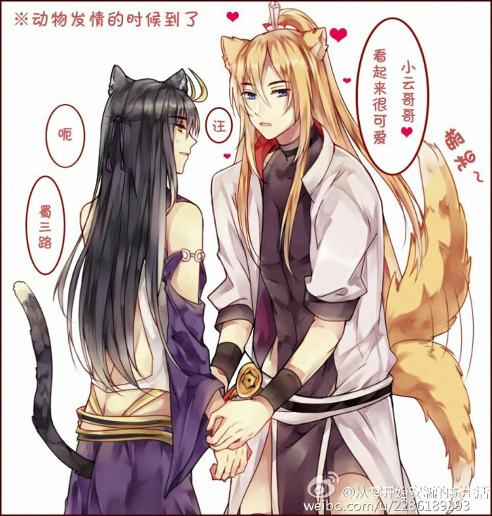 re从零开始的老司机生活:#我家大师兄脑子有坑##龚大#兽拟,龚汪和云