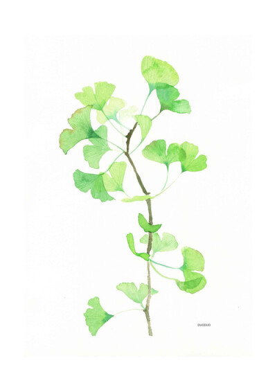 贴纸 手账 字体 原稿 线稿 水粉 彩铅 涂鸦 水彩 插画 教程 花卉 植物