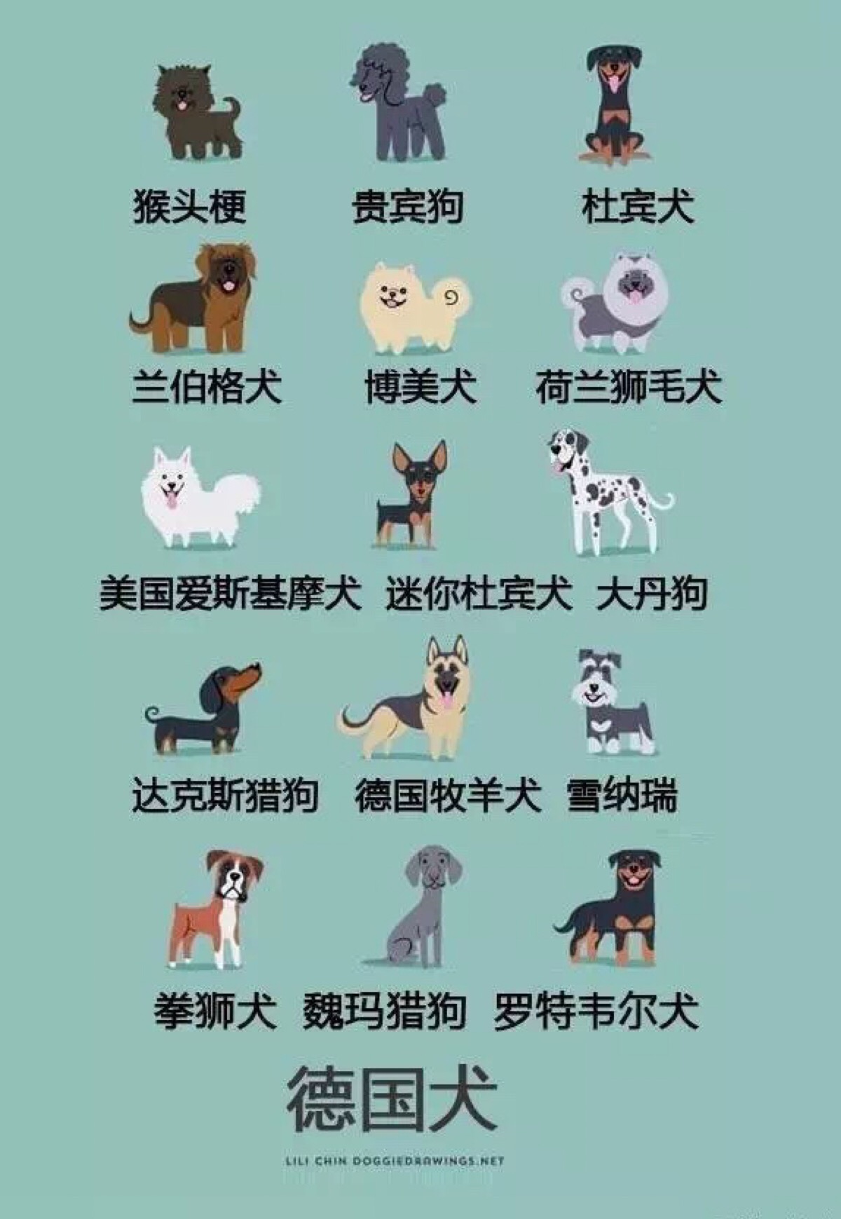 狗的种类有哪些 名称图片