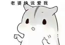 鼻涕球仓鼠系列表情-堆糖,美好生活研究所老婆包泡炸掉的表情图片