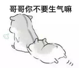 可爱妹子仓鼠表情兄妹脸红1表情包动漫图片