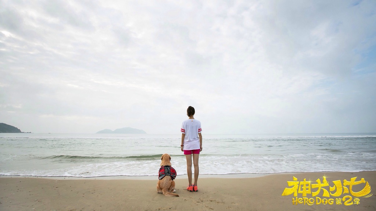 神犬小七2 # 高清剧照 张云龙 王洋 欧叶 鲍宇 小七 海报