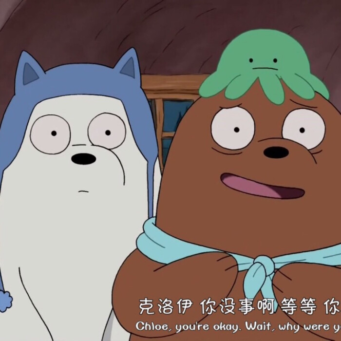 ice bear&grizzly