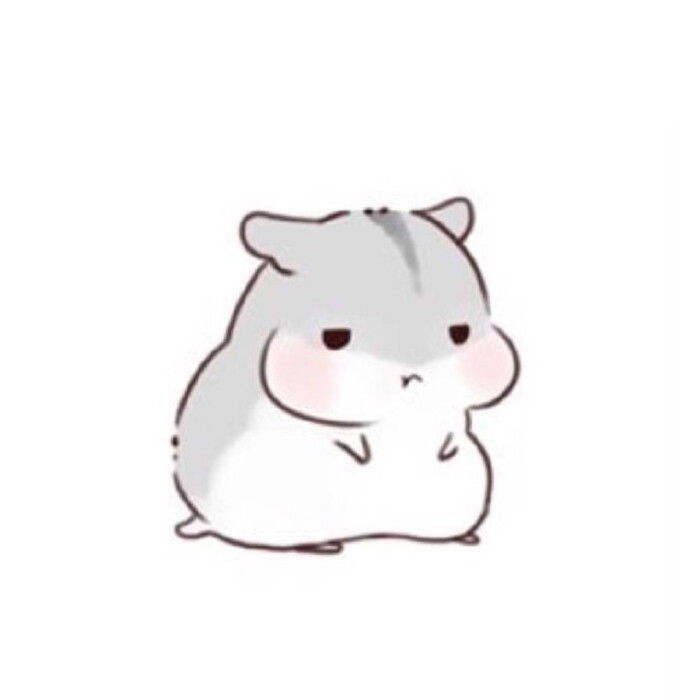 hamham小仓鼠