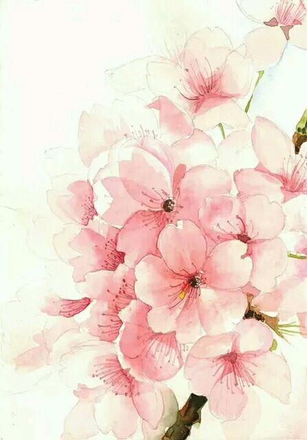 人面桃花
