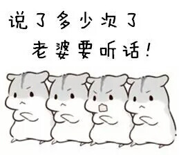 表情球老婆心空表情包系列仓鼠-堆糖,美好生活研究所图片