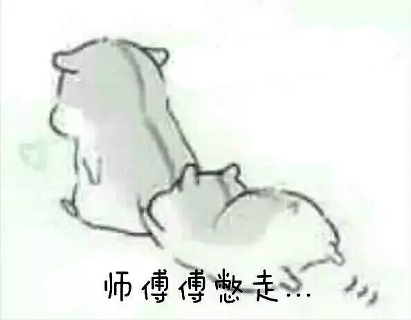 仓鼠表情包
