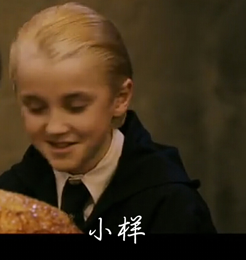 哈利波特 表情包
