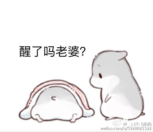 仓鼠球表情系列老婆起床搞笑图片女朋友图图片
