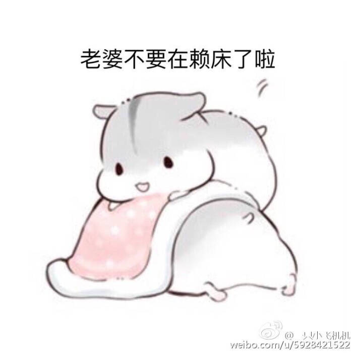 表情球老婆敞开胸表情包系列仓鼠起床图片