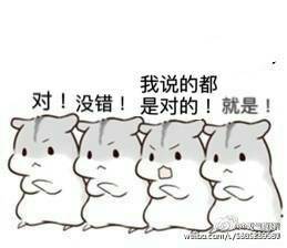 表情球老婆多人可表情包呸的系列仓鼠起床1-堆糖,美好生活v表情图片