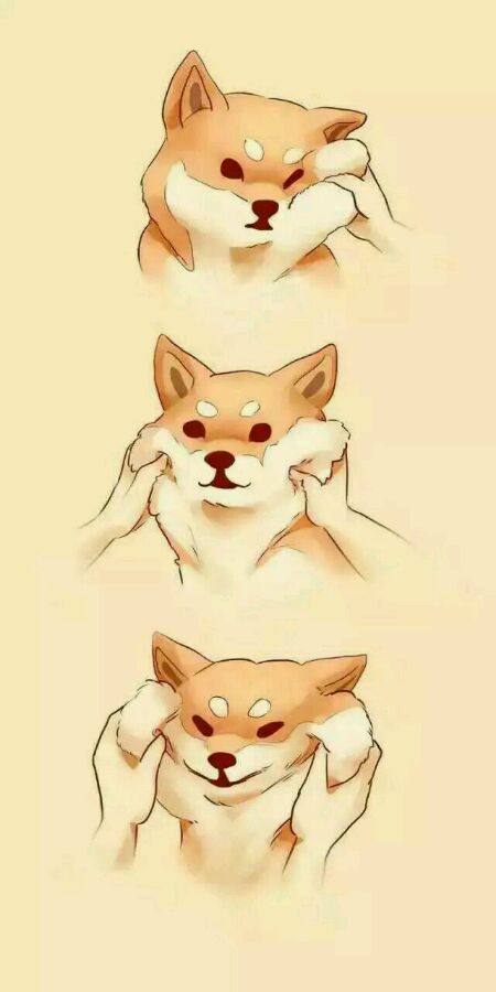 柴犬