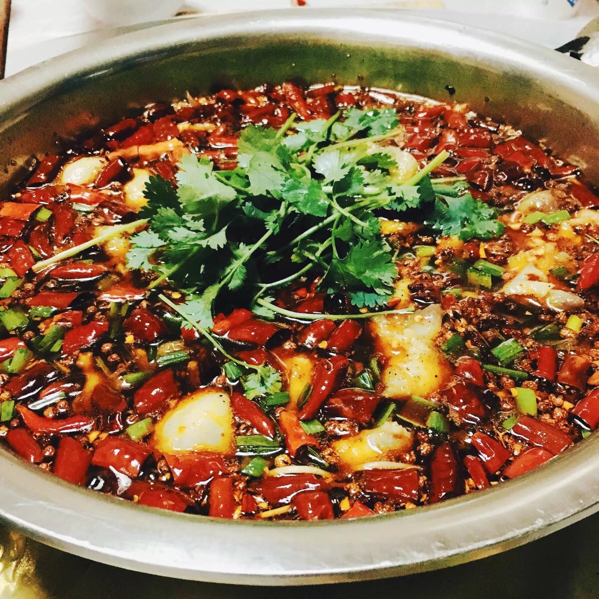 2016/7/27 麻辣水煮鱼