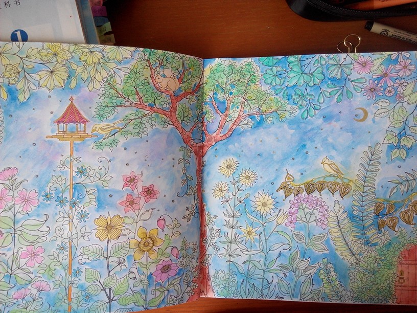 2016年8月19日 16:49   关注  手绘 插画 秘密花园 涂色书 上色