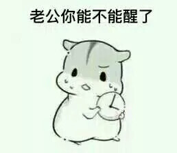 小仓鼠表情包