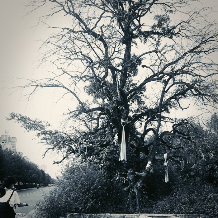 摄影,意境,小清新,黑白,情侣头像,小路,重影,女生头像,女头,背影,文艺