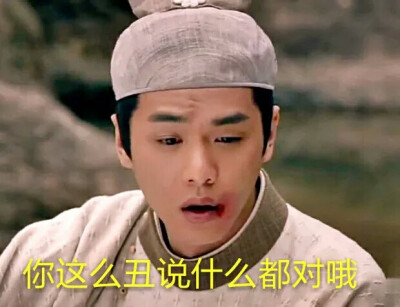 刘子固 昨天才开始看老大的新电视剧,截了很多图,自己当表情包,快来收