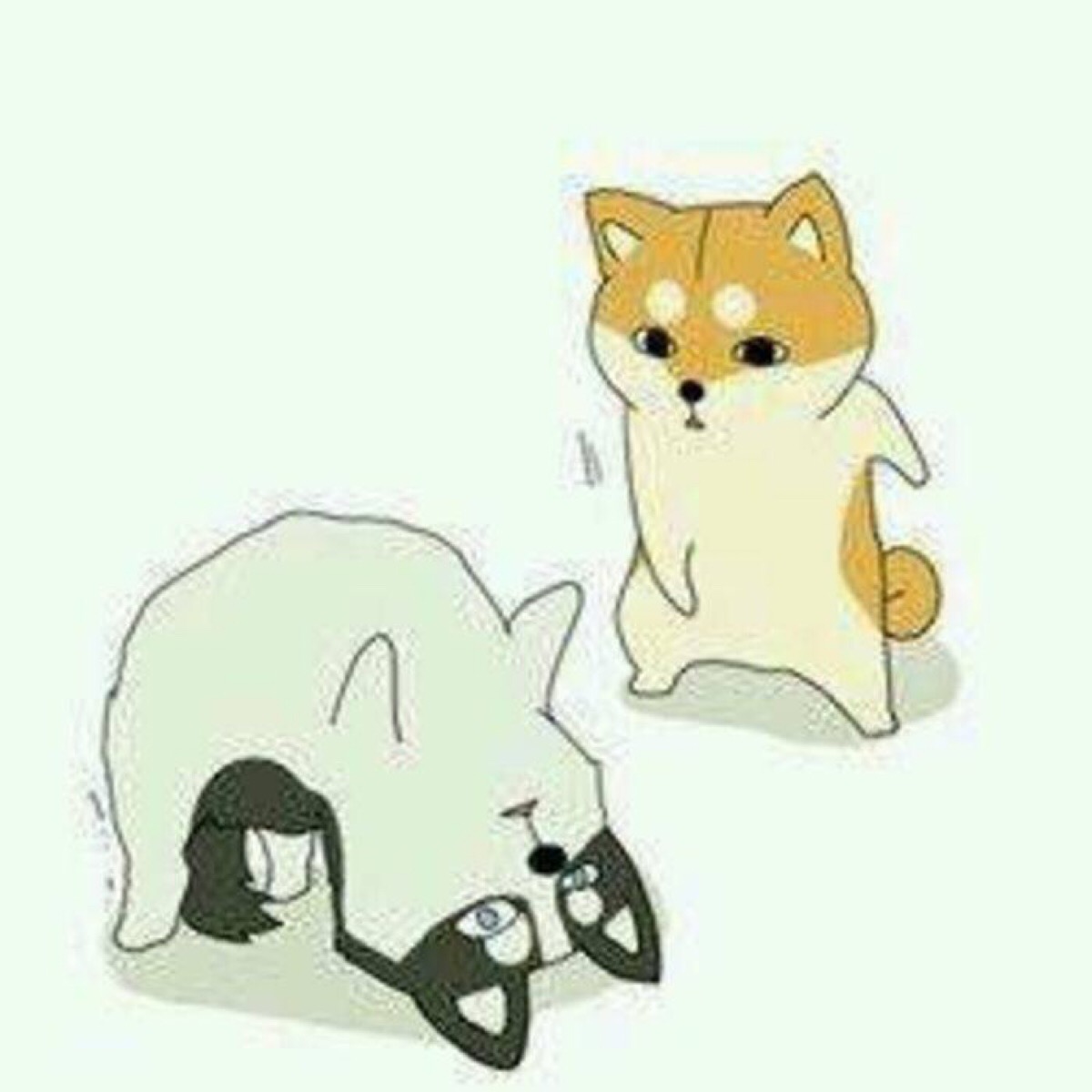 二哈