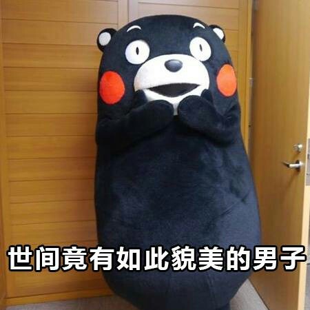 【熊本熊表情包】