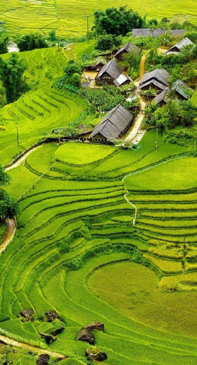 摄影 梯田