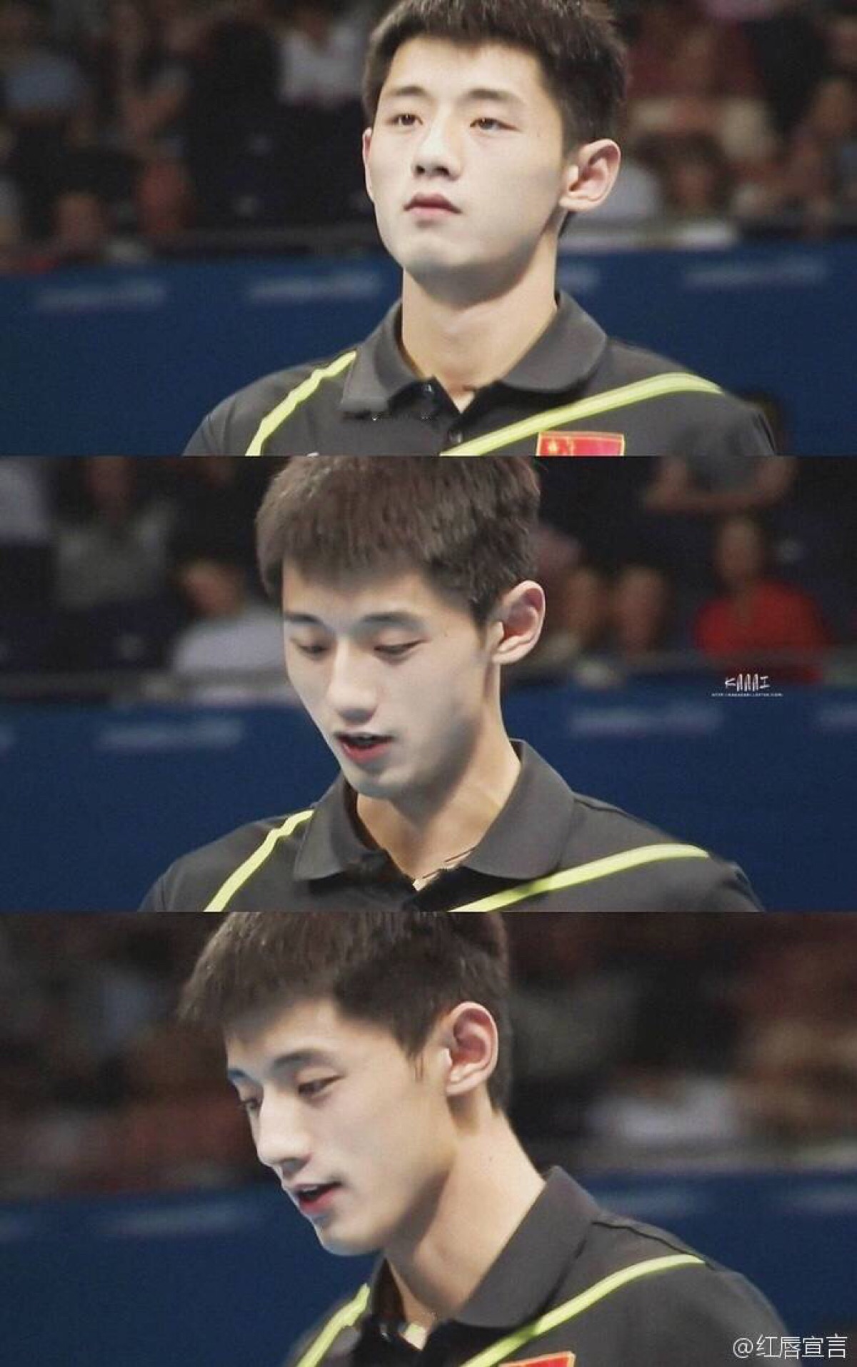张继科 