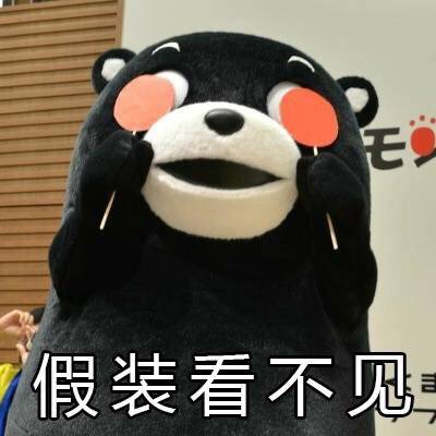 不见看假装的可爱猪手绘表情包熊本熊表情图片