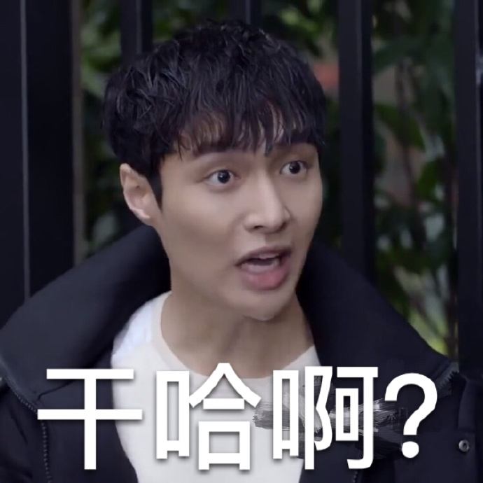 exo 张艺兴 表情包