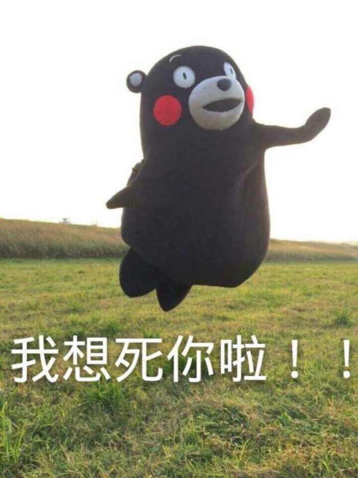 熊本熊 表情包