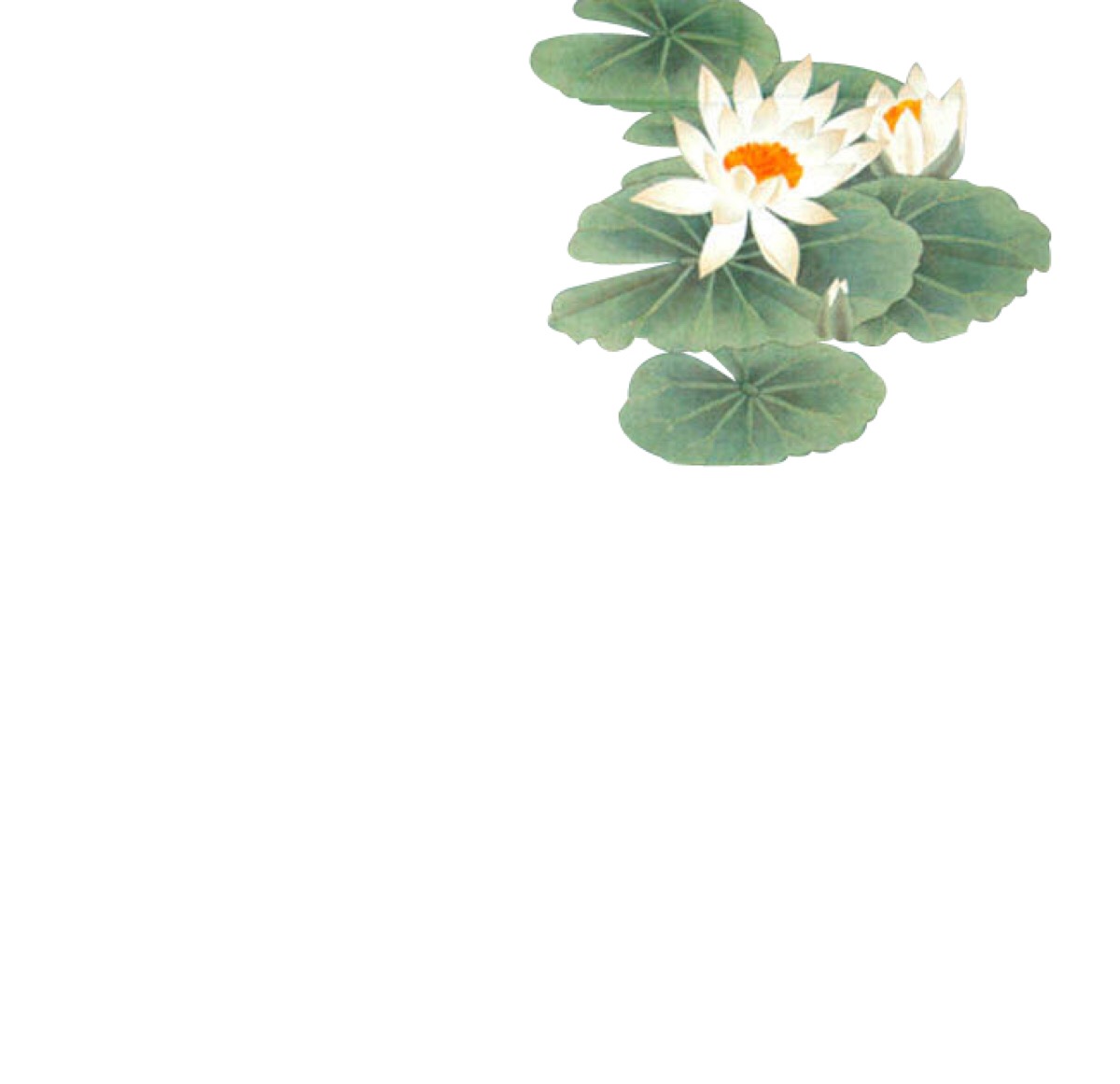 古风免抠 花 素材 禁二传