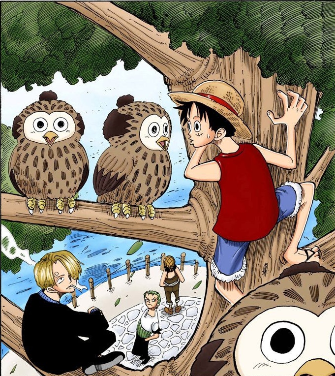 海贼王 漫画扉页