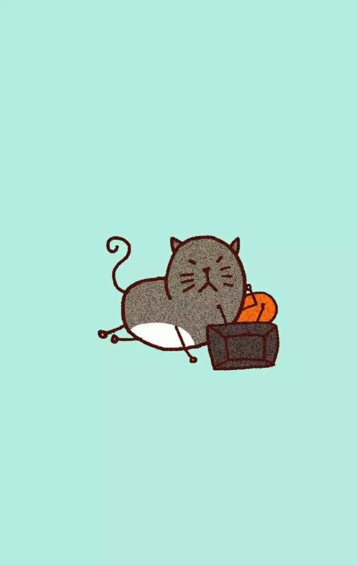 懒猫猫 
