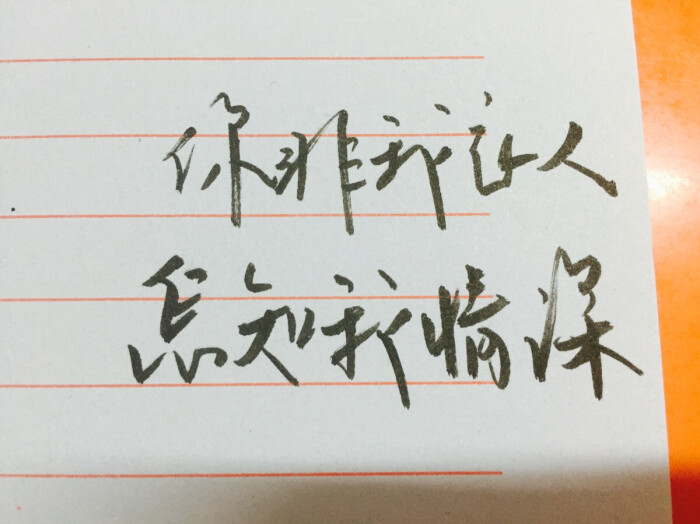 手写 你非我良人,怎知我情深.