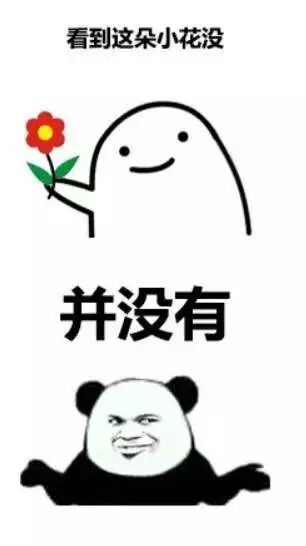 美图 动物 大海 搞笑 gif 暴走漫画 文字控 斗图 表情包 金馆长表情包