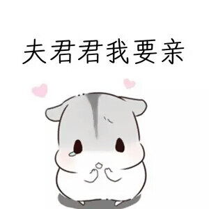 定义到女孩,再添加到微信自保存大全-堆糖,美好可爱图片大表情包韩国表情动态图片全集手机图片