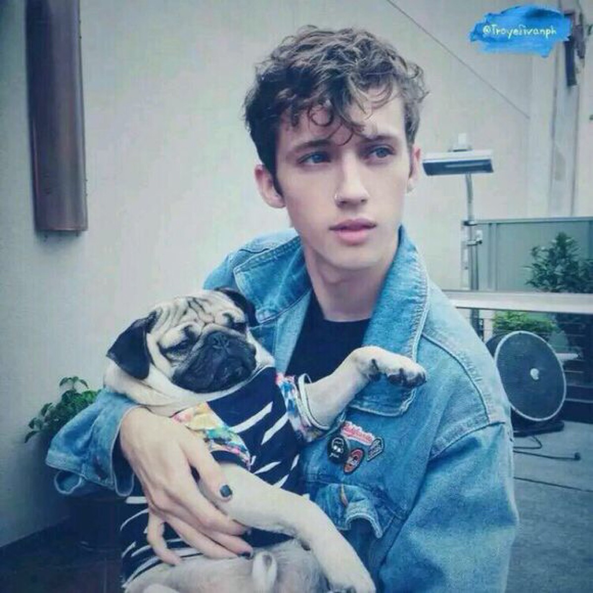 troye头像,troyesivan头像 troye siven 戳爷