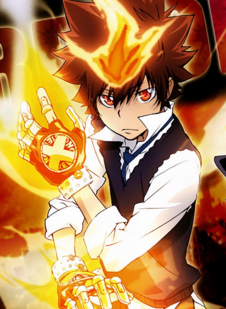 家庭教师 沢田纲吉 彭格列第十代首领