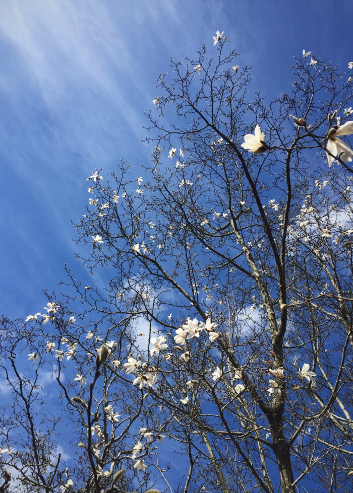 蓝天上流云