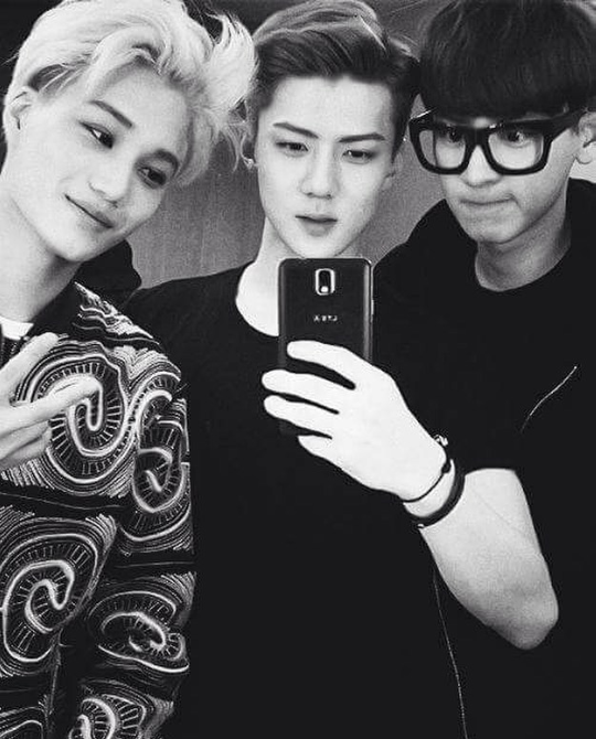 exo##朴灿烈##吴世勋##鹿晗##边伯贤##吴亦凡##张艺兴##金俊绵##金钟