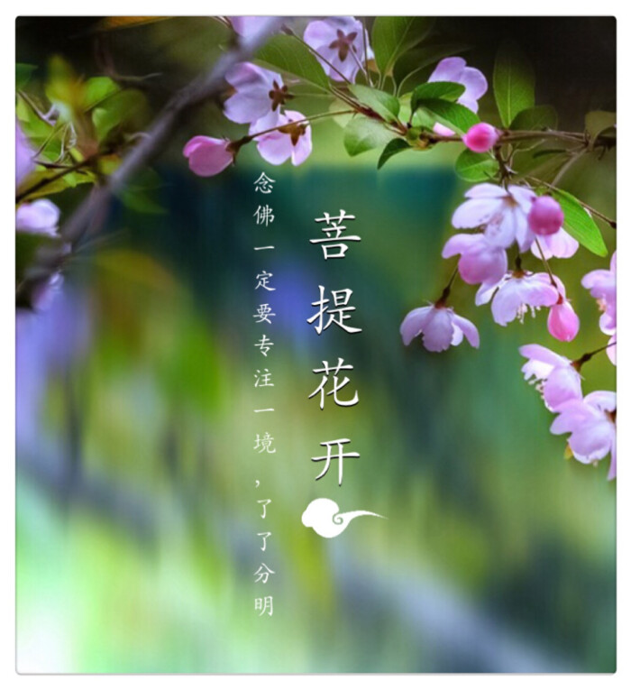 【菩提花开】《禅秘要法经》中,有位禅难提比丘请问佛,无量劫来的罪业