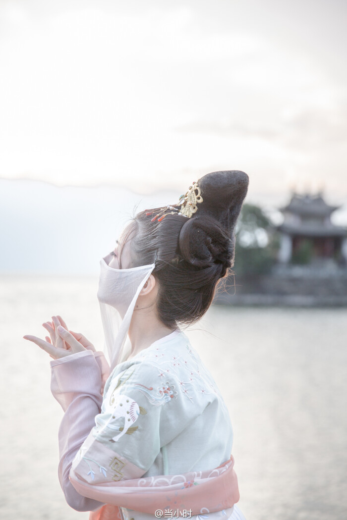 面纱轻摇,曳曳生辉.