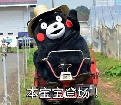 熊本熊表情包